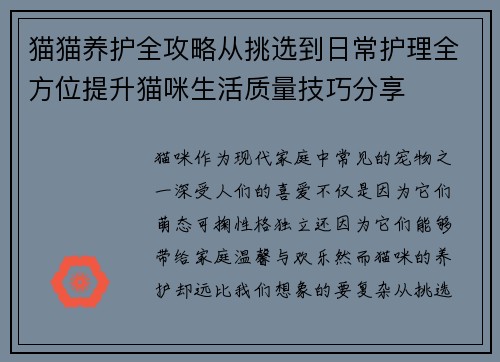 猫猫养护全攻略从挑选到日常护理全方位提升猫咪生活质量技巧分享